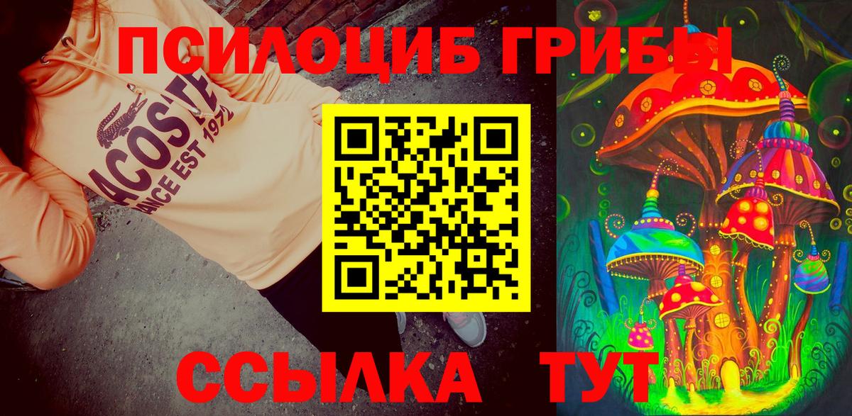 Псилоцибиновые грибы GOLDEN TEACHER  Вход с VPN  Псилоцибиновые грибы Psilocybe  Барнаул 