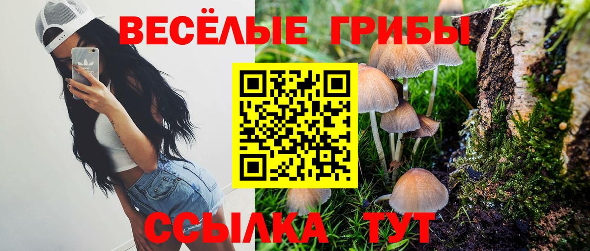 Галлюциногенные грибы Psilocybe Барнаул